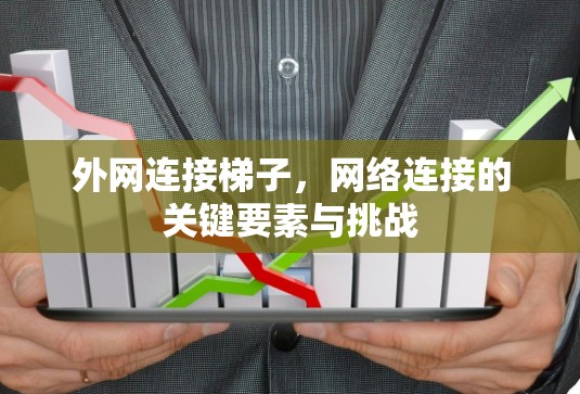 外网连接梯子，网络连接的关键要素与挑战