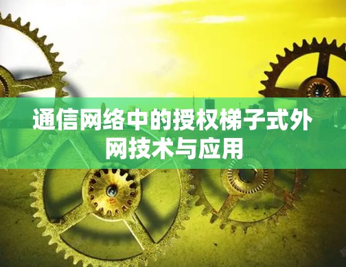 通信网络中的授权梯子式外网技术与应用