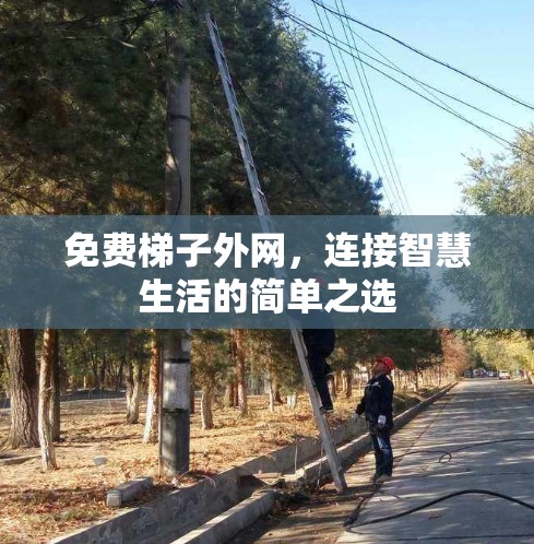 免费梯子外网，连接智慧生活的简单之选