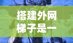 搭建外网梯子是一个系统工程，通常需要遵循以下步骤，确保设备安全可靠