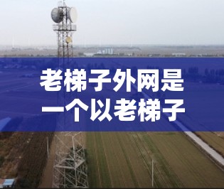 老梯子外网是一个以老梯子为主题的专业网站或平台，旨在推广产品、服务或内容。以下是一个结构化的回答，涵盖关键词、主题、潜在挑战以及实用建议