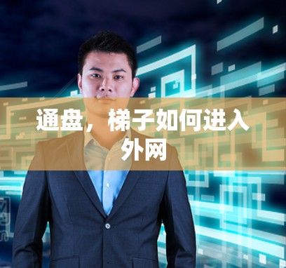 通盘，梯子如何进入外网