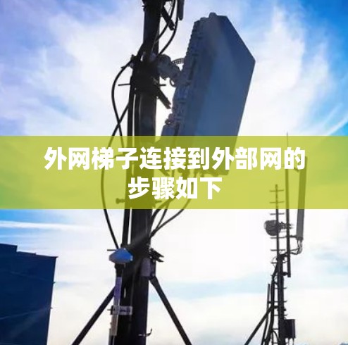 外网梯子连接到外部网的步骤如下