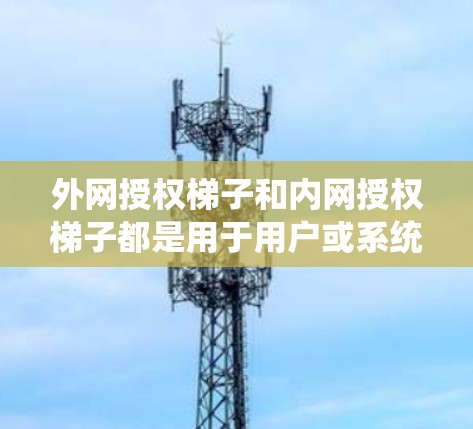 外网授权梯子和内网授权梯子都是用于用户或系统在外部或内部网络上登录、管理权限和安全工具的工具。以下是它们的不同之处和用途