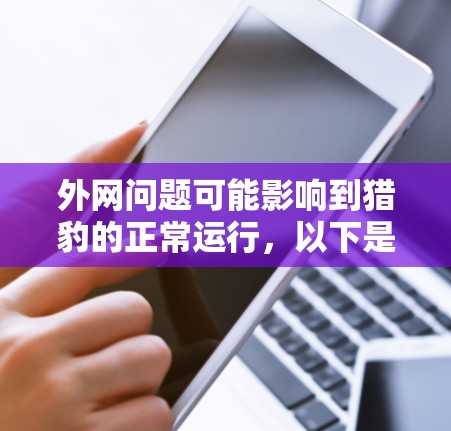 外网问题可能影响到猎豹的正常运行，以下是针对这种情况的逐步解决方案