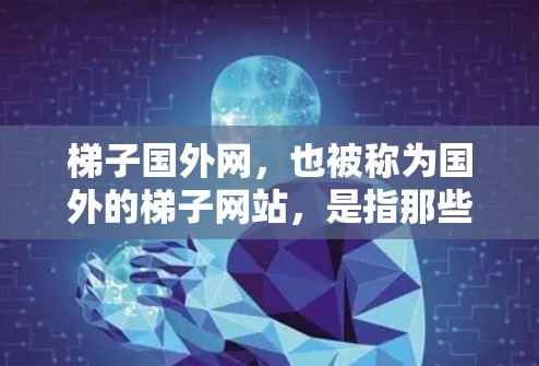 梯子国外网，也被称为国外的梯子网站，是指那些提供梯子相关信息和资源的网站。这些网站可能包括梯子的购买渠道、价格信息、使用指南、维修信息、安全信息等。以下是一些常见的梯子国外网站和资源