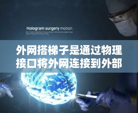 外网搭梯子是通过物理接口将外网连接到外部网络（如互联网）的方法。以下是对该方法的详细步骤和考虑