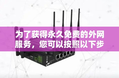 为了获得永久免费的外网服务，您可以按照以下步骤进行