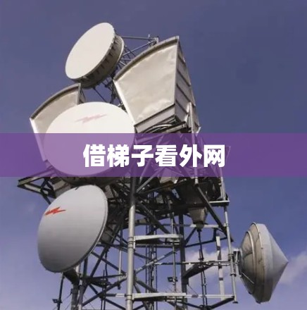 借梯子看外网