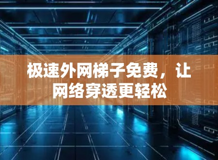 极速外网梯子免费，让网络穿透更轻松