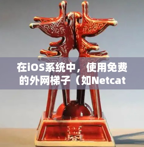 在iOS系统中,使用免费的外网梯子(如Netcat或NAT)来管理网络接口,可以有效地连接外部网络到内部网络。以下是一些实用的步骤和方法 在iOS系统中,使用免费的外网梯子(如Netcat或NAT)来管理网络接口,可以有效地连接外部网络到内部网络。以下是一些实用的步骤和方法