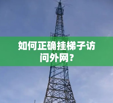 如何正确挂梯子访问外网?