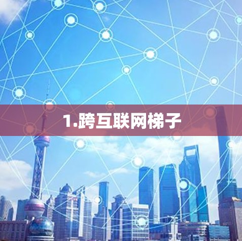 1.跨互联网梯子