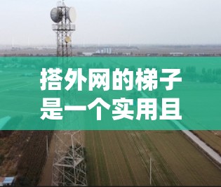 搭外网的梯子是一个实用且安全的工具，适合在不同情况下使用。以下是一些建议和步骤，帮助你成功搭建一个外网的梯子