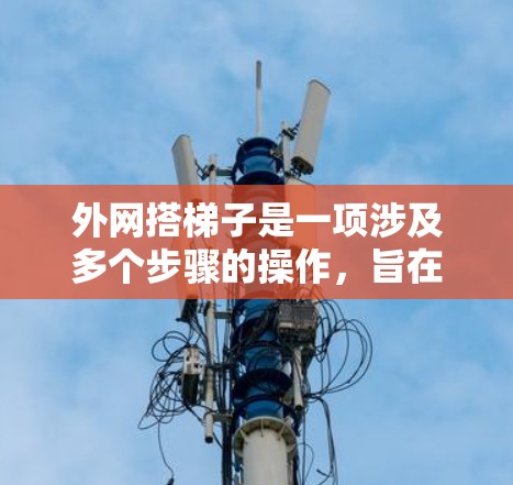 外网搭梯子是一项涉及多个步骤的操作,旨在连接外部网络设备。以下是详细的步骤指南,帮助您顺利完成这一任务