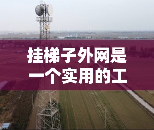挂梯子外网是一个实用的工具，可以帮助你更方便地使用梯子。以下是一步步的指南