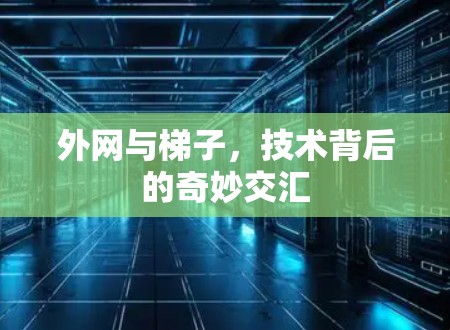 外网与梯子，技术背后的奇妙交汇