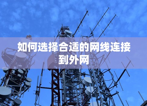 如何选择合适的网线连接到外网