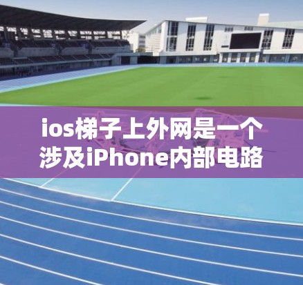 ios梯子上外网是一个涉及iPhone内部电路和外部网络连接的术语。具体解释如下