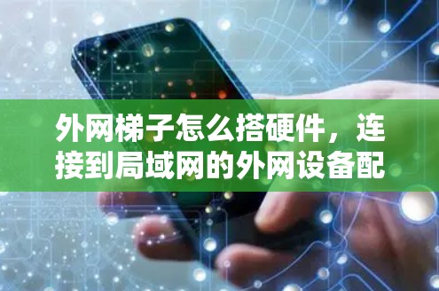 外网梯子怎么搭硬件，连接到局域网的外网设备配置指南