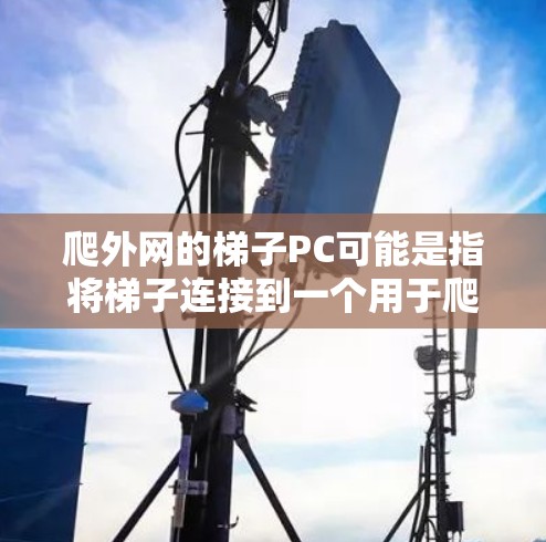 爬外网的梯子PC可能是指将梯子连接到一个用于爬升或下滑的设备上，通常涉及以下步骤