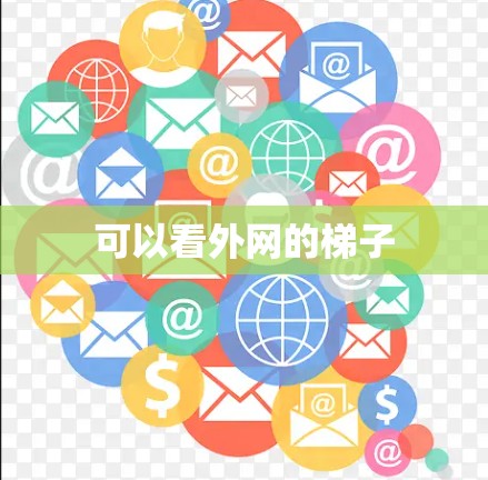 可以看外网的梯子