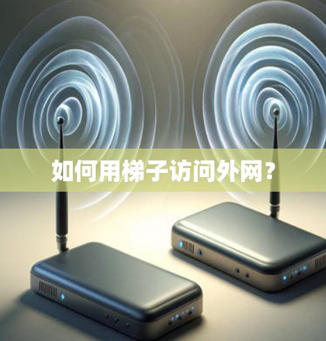 如何用梯子访问外网？