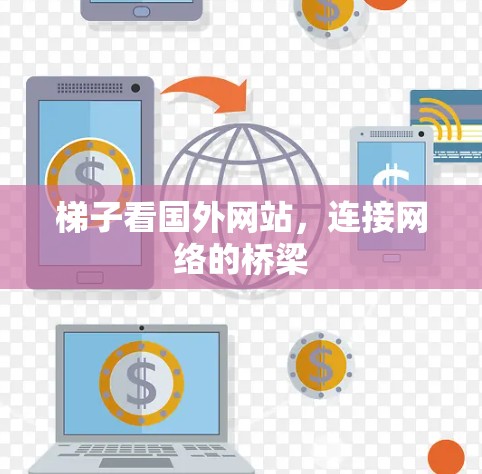 梯子看国外网站，连接网络的桥梁