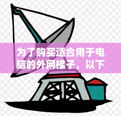 为了购买适合用于电脑的外网梯子，以下是一个有条理的推荐