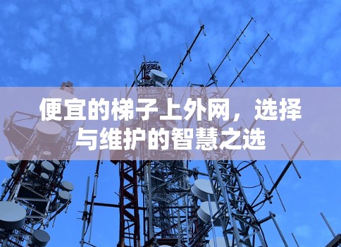 便宜的梯子上外网，选择与维护的智慧之选