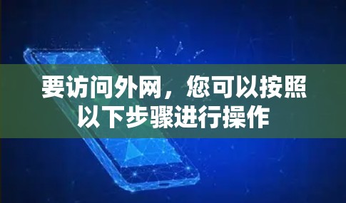 要访问外网，您可以按照以下步骤进行操作