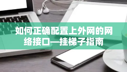 如何正确配置上外网的网络接口—挂梯子指南