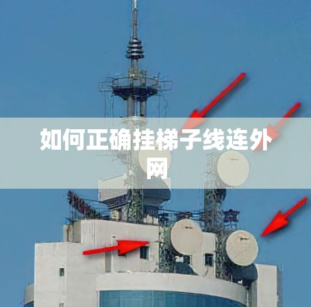如何正确挂梯子线连外网