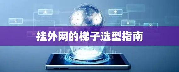 挂外网的梯子选型指南