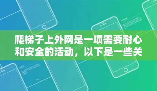爬梯子上外网是一项需要耐心和安全的活动，以下是一些关键步骤和注意事项，帮助你顺利上外网