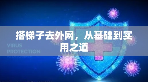 搭梯子去外网，从基础到实用之道