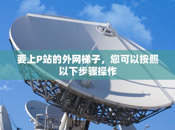 要上P站的外网梯子,您可以按照以下步骤操作