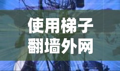 使用梯子翻墙外网是一个安全且有效的方法，但需要注意以下几点以确保成功