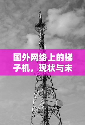国外网络上的梯子机，现状与未来展望