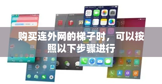 购买连外网的梯子时，可以按照以下步骤进行