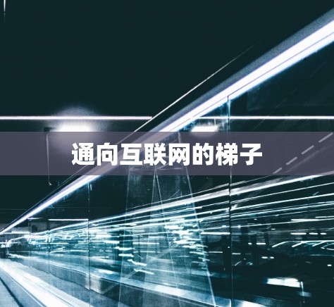 通向互联网的梯子 通向互联网的梯子