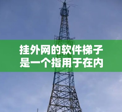 挂外网的软件梯子是一个指用于在内部服务器与外部Web服务器之间进行连接的链式结构，涵盖了从内部服务器到外部服务器的所有必要的步骤和工具。以下是该概念的详细解释