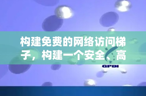 构建免费的网络访问梯子，构建一个安全、高效的网络访问系统
