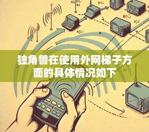 独角兽在使用外网梯子方面的具体情况如下