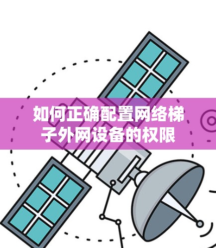 如何正确配置网络梯子外网设备的权限