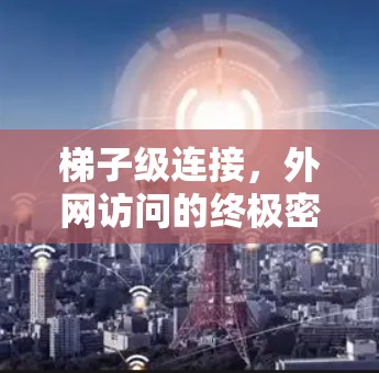 梯子级连接，外网访问的终极密码