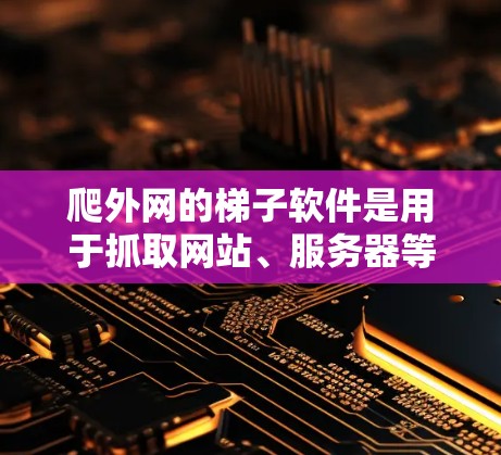 爬外网的梯子软件是用于抓取网站、服务器等资源的工具，涵盖多种协议，如HTTP、HTTP/2、HTTP/2+WWW/TLS等。以下是使用爬外网梯子软件的步骤指南