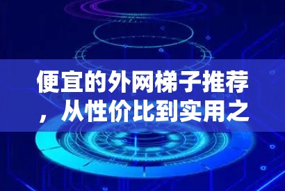 便宜的外网梯子推荐，从性价比到实用之道