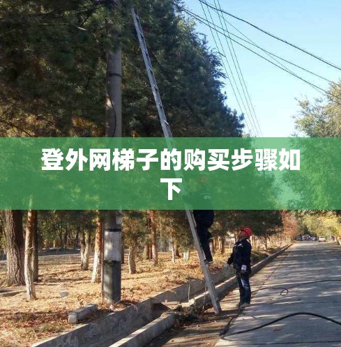登外网梯子的购买步骤如下