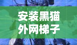 安装黑猫外网梯子是一个需要仔细考虑的过程,以下是一步步的解决方案